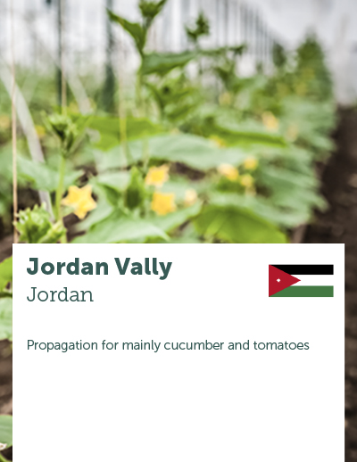 story_jordan vally.jpg (1)