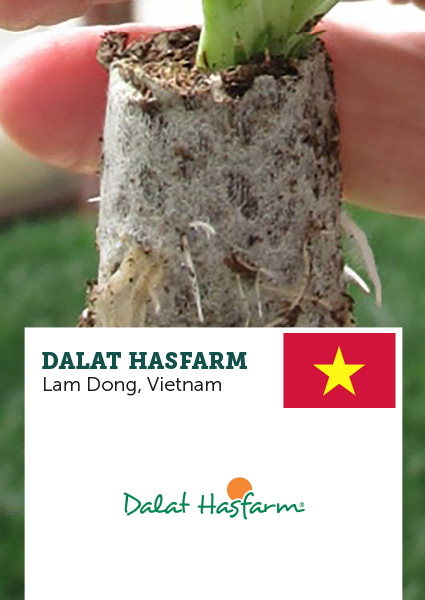 Dalat Hasfarm_ellepot_client.jpg
