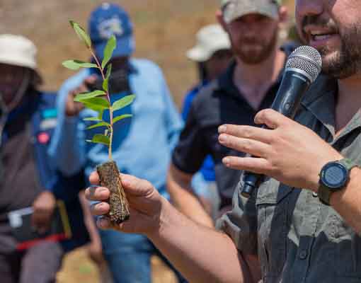 510X400 Ellepot Field Visit Silviculture 3