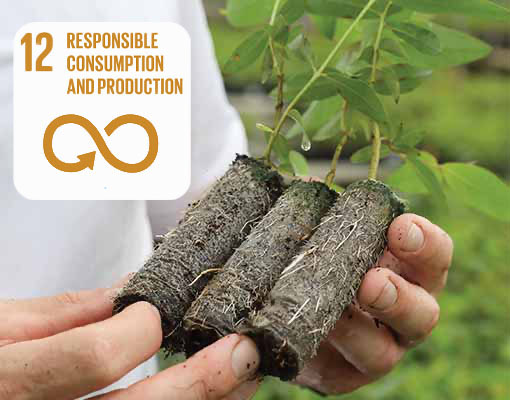 Ellepot Sustainable Development Responsible consumption and production