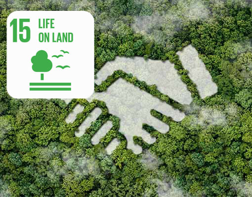 Ellepot Sustainable Development Life on Land