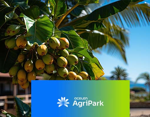 Ellepot Acelen Agripark: Desenvolvimento social e crescimento econômico para Minas Gerais e o Brasil