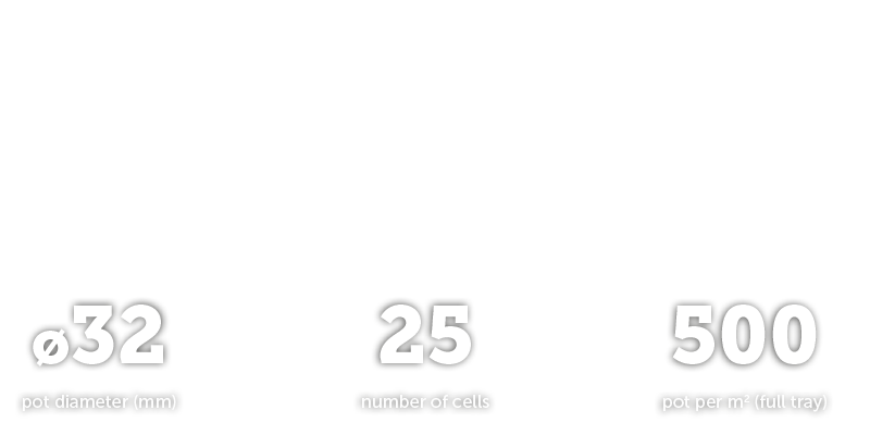 ES32025 Tray Intro Text